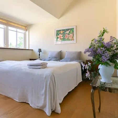 Avalonbnb أودنسه