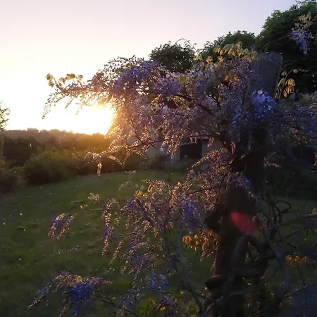 Avalonbnb Bed & Breakfast 2*